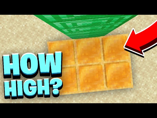 What HEIGHTS Can You Fall In Minecraft? #Shorts