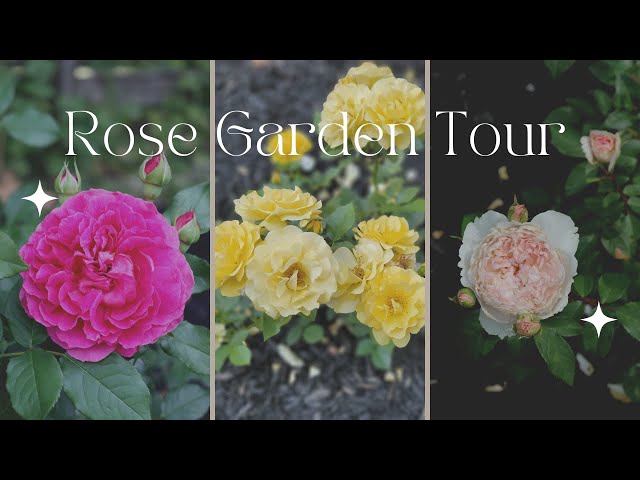 Rose Garden Tour - Everything Labeled