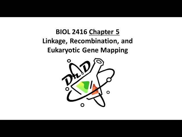 BIOL2416 Chapter 5 - Linkage, Recombination, and Eukaryotic Gene Mapping