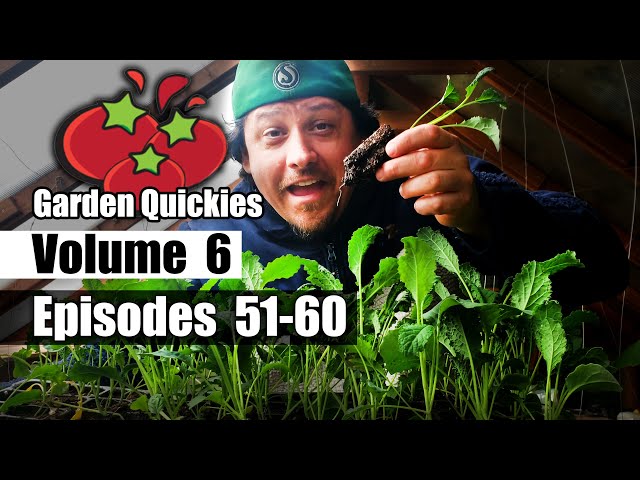 Garden Quickies Volume 6 - Episodes 51 to 60
