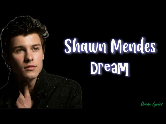 Shawn Mendes - Dream (Lyrics Video) FULL HD