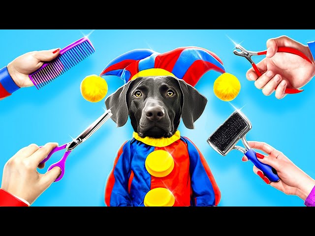 Great Dog Makeover 🐶🎩🤹‍♂️ My Dog Is Now In The Amazing Digital Circus
