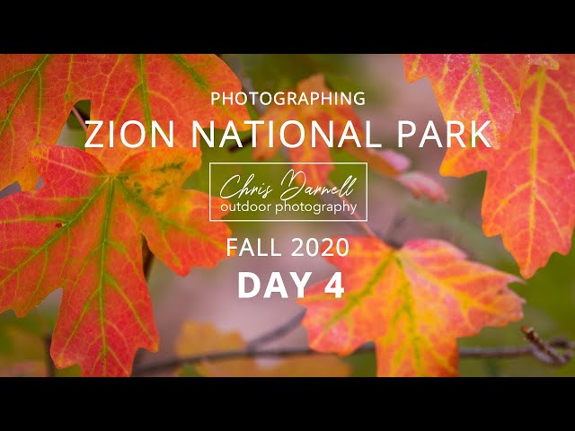 Photographing Zion National Park - Fall 2020 (Day 4)