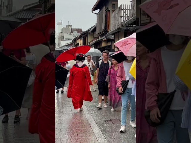 和傘をさす舞妓さん #京都 #舞妓
