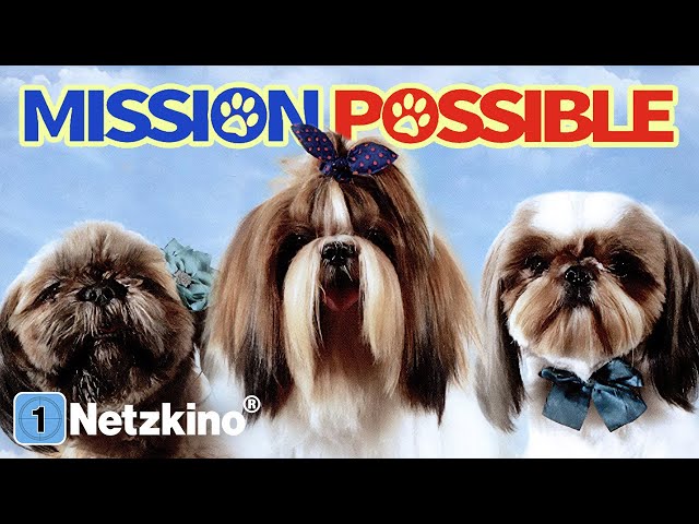 Mission Possible – Eine tierische Mission! (ABENTEUERFILM in voller Länge, Abenteuer Filme Deutsch)