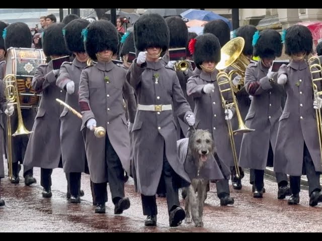 Quintessentially British Bowler Hats & Umbrellas -- Irish Guards Memorial (10th March 2024)