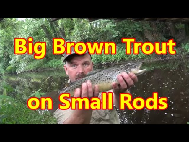 Catching Trout With Micro Fishing Rods