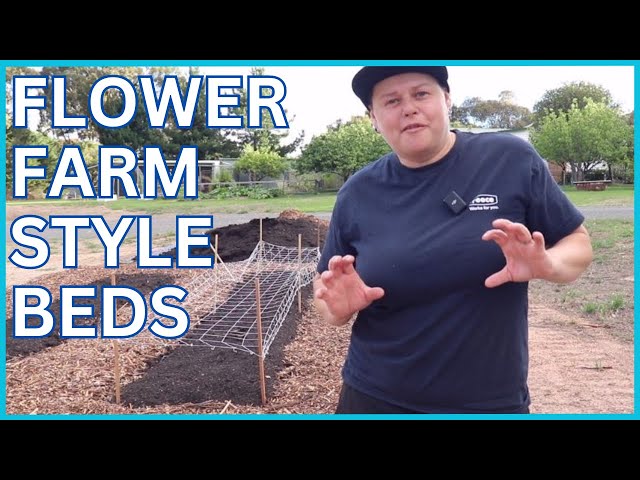 Creating flower farm style beds on our 1 acre Aussie homestead