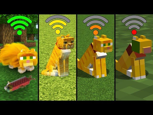 minecraft physics with different Wi-Fi in Minecraft