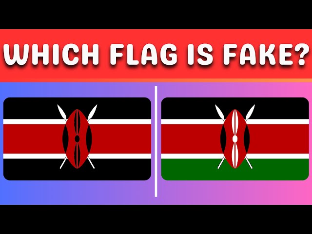 Can You Spot the Fake Flag? 10 Seconds to Guess!