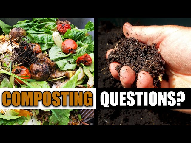 Your Top 6 Composting Questions Answered!