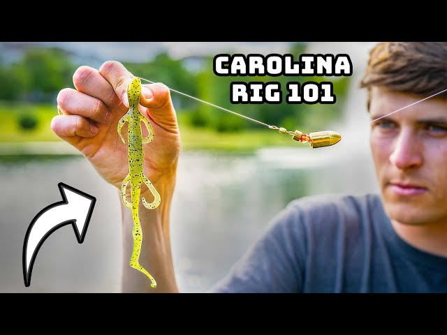 The Last Carolina Rig Video You'll Ever Need ("C-Rig" Masterclass)