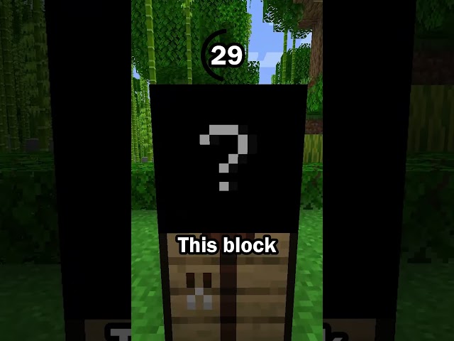 Guess the Minecraft block in 60 seconds 18