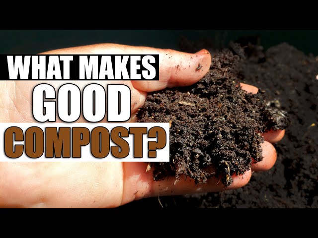 What Makes GOOD Compost?