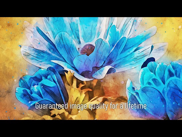 Premium Handmade Art Print "Blue Anemone in Watercolors" by Dreamframer Art