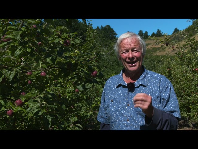 Apple Tree Care with Orin Martin - Summer in the Orchard
