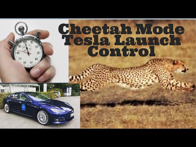 2,5 Sec von 0 auf 100Km/h Ludicrous + Cheetah Mode im Performance Tesla