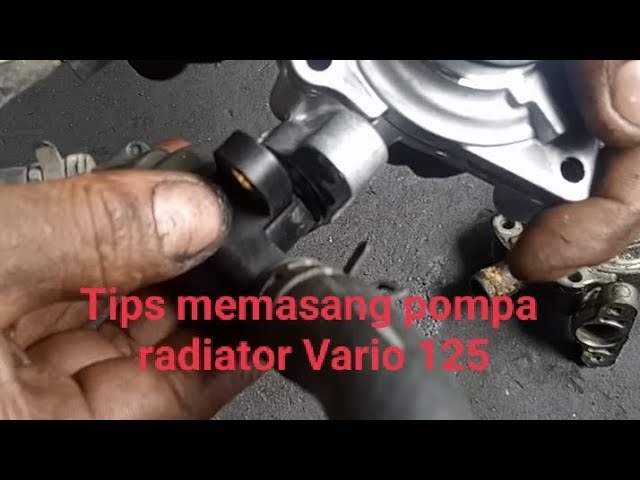 Mengganti pompa air radiator Vario dengan mudah.