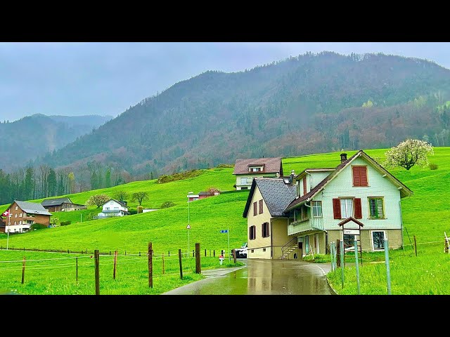 🇨🇭Driving In Switzerland Countryside _ Cloudy Spring View of Swiss