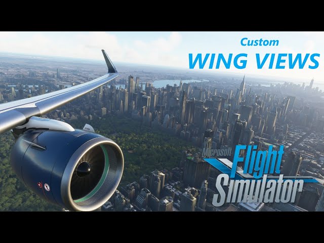 Custom Wing Views for Microsoft Flight Simulator 2020 | Save any view you want | Easy Tutorial