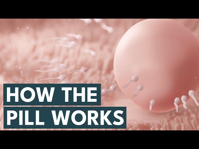 How The Pill Works | Missed Pill? Skipping Period?