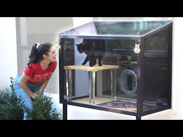 Is a stylish catio possible? (building a patio for our cat)