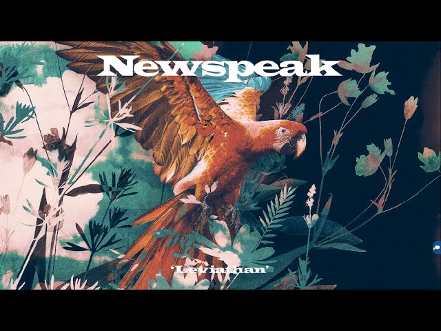 Newspeak - Where Is Your Mind (Official Audio)