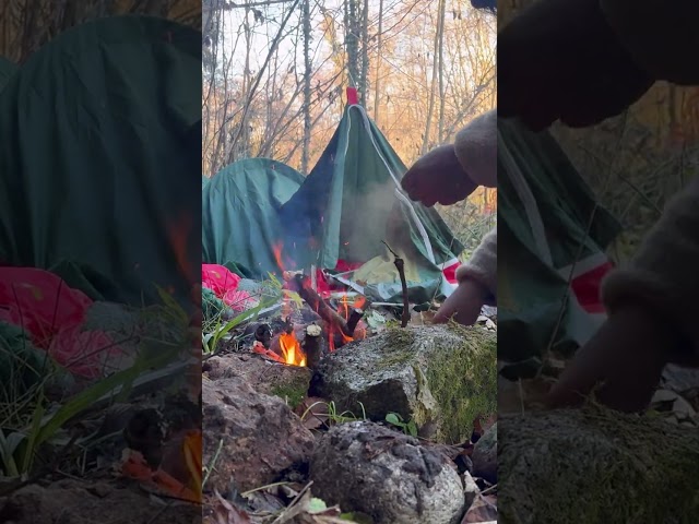 ONEDAY CAMPING IN JUNGLE | #Shots  #vlog #winter