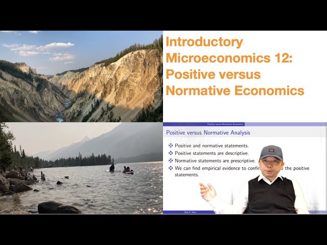 Introductory Microeconomics 12: Positive versus Normative Economics