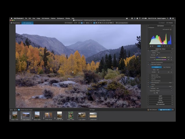 DxO Webinar: Getting the most out of your Autumn photographs with Viveza