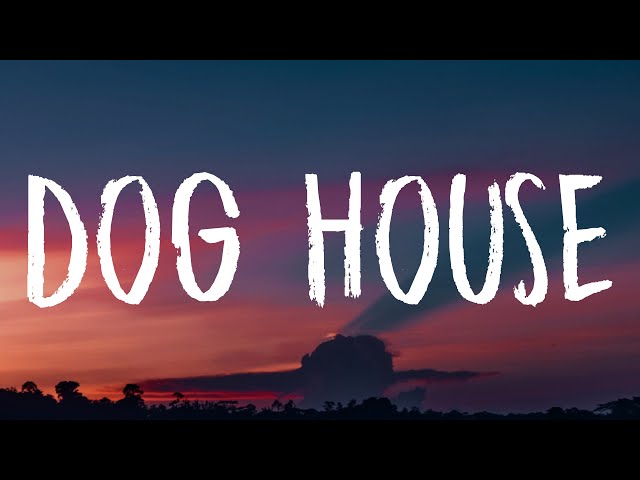 24kGoldn - Dog House (Lyrics)