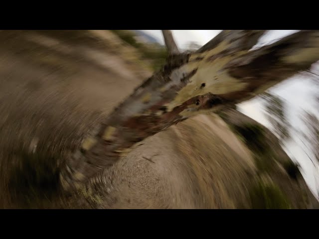 I Just Went for It - Fpv Freestyle 2023 (Nazgul5 v2)