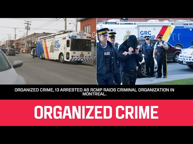 Organized crime, 13 arrested as RCMP raids criminal organization in Montreal.