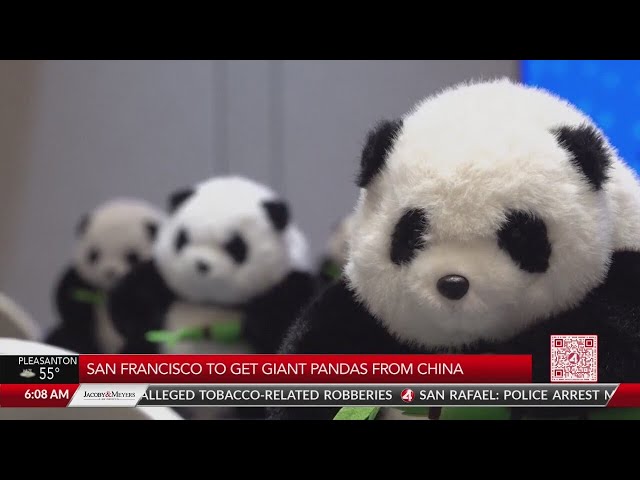 San Francisco to get giant pandas from China