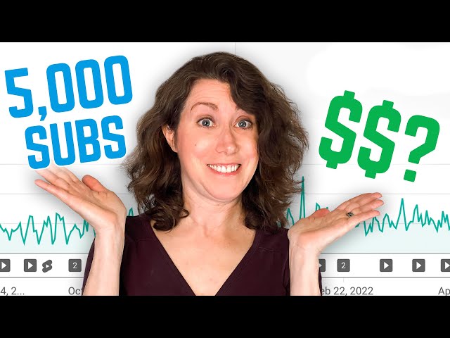 How Much YouTube Paid Me in 1 Year - 5,000 Subs