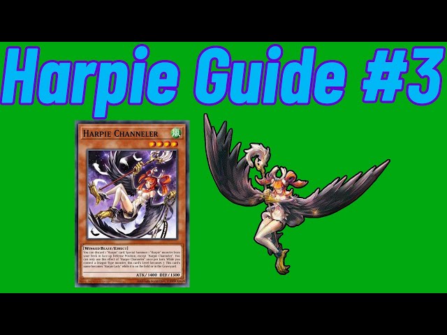 Harpie Deck Guide #3 - Harpie Channeler [ Yu-Gi-Oh! TCG / Master Duel ]