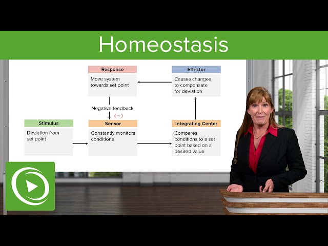Homeostasis: Introduction, Internal Environment & Feedback  – Cell Biology | Lecturio