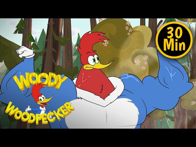 Woody Woodpecker | Woody Bodybuilder | 5 Full Episodes