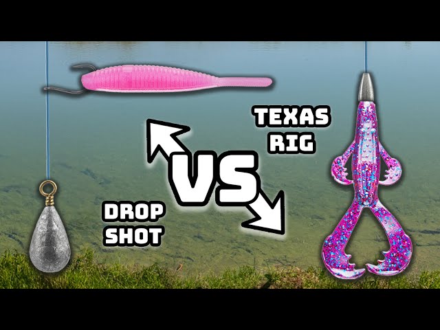 Fishing A DROP SHOT VS. TEXAS RIG (Which One Is BETTER??)