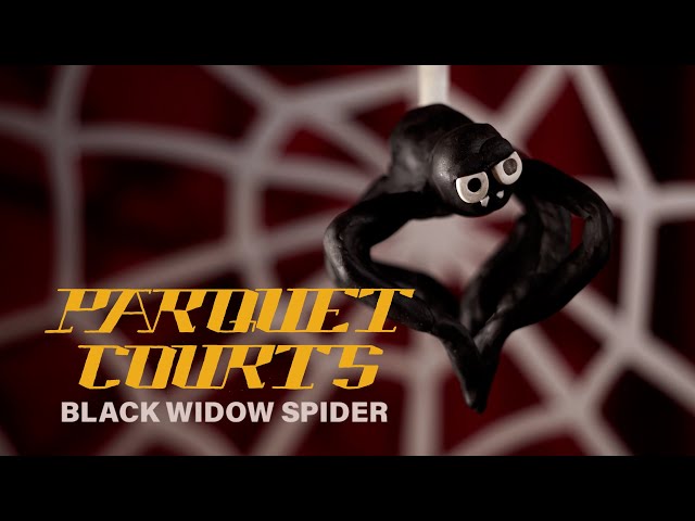 Parquet Courts - "Black Widow Spider" (Official Music Video)