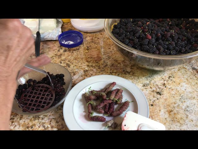 Amazing Mulberry Pie Recipe with Custard