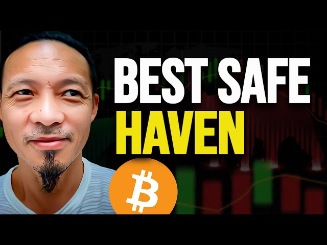 Willy Woo And Raoul Pal - Why Bitcoin Is The Only Safe Haven