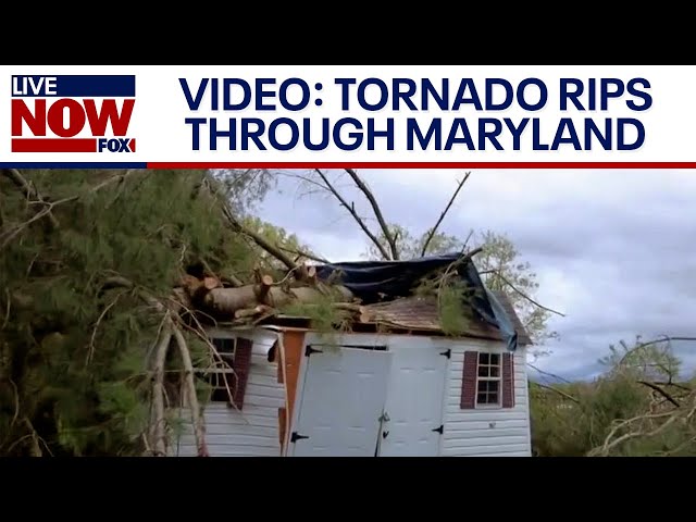 Wicked Weather: Tornado tears through Maryland and tracking more severe weather | LiveNOW from FOX