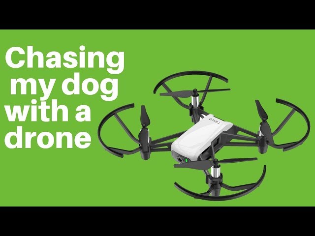 Chasing my dog with a drone - Tello TLW004 vs Treeing Walker Coonhound