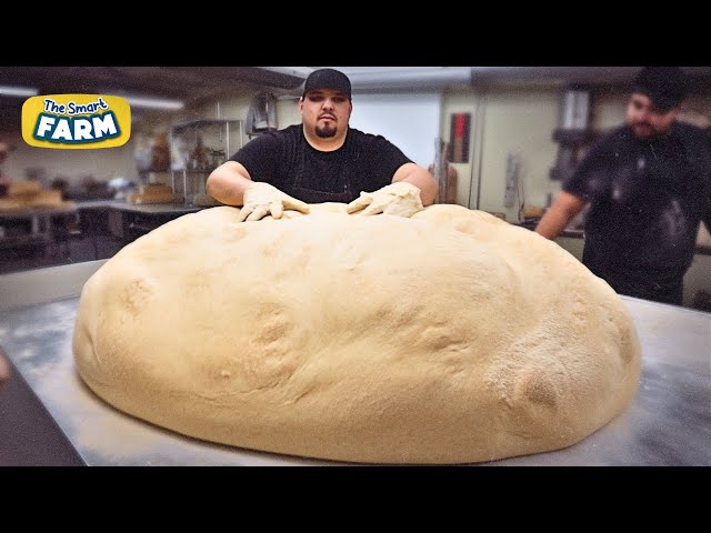 How Is Bread Processed In MASSIVE Amounts? | Mega Dough Factory