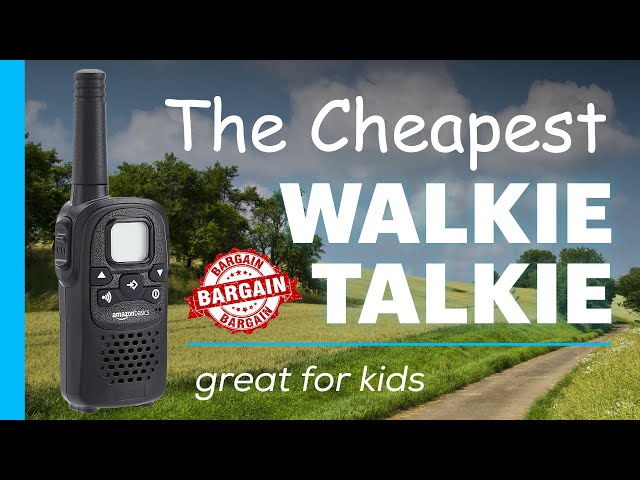 Cheapest Walkie-Talkie on Amazon - Range Test & Review