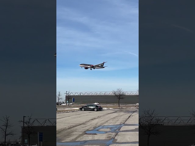 Royal Jordanian Boeing 787-8 Landing at Chicago #plane #planes #airport #planespotting #Boeing #787
