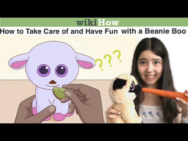 How To Take Care of a Beanie Boo (according to Wikihow)