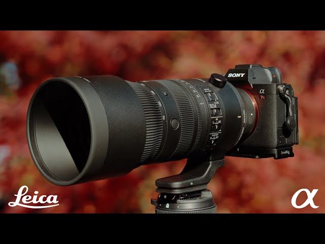 The NEW Sigma 70-200mm ƒ/2.8 DG DN | Budget King for Sony E & Leica L