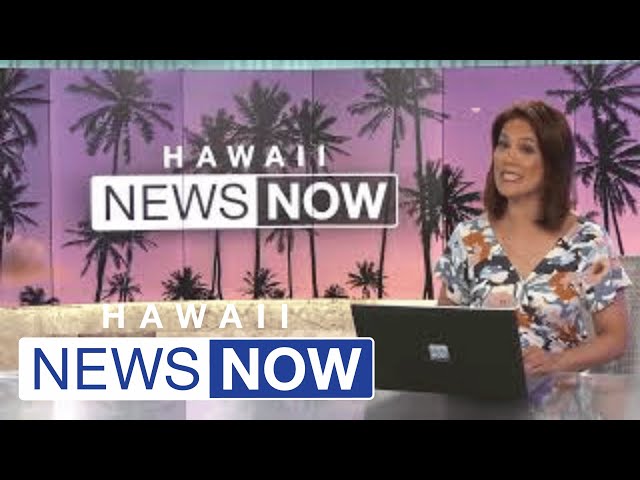 ‘We want to go home’: Mechanical issues trigger 2-day delay of Hawaiian Air flight from Las Vegas